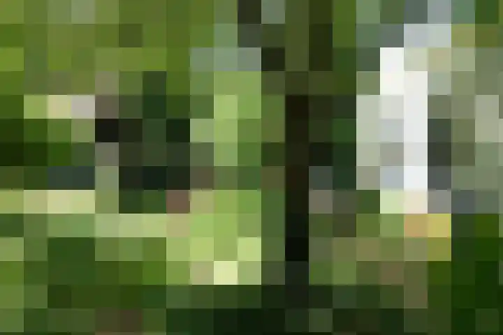 Polderdijk 32 Rumpt thumbnail 58