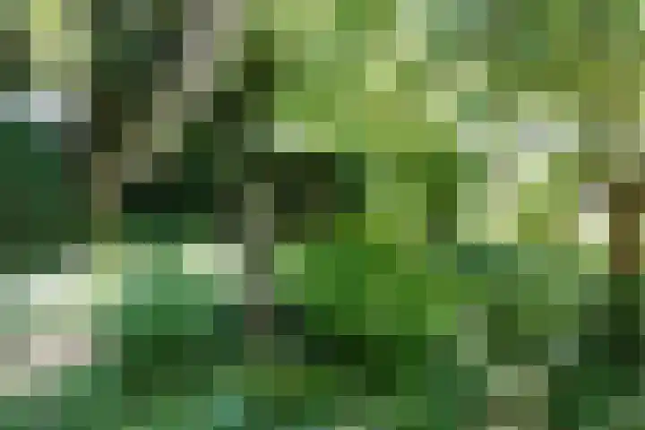 Polderdijk 32 Rumpt thumbnail 59