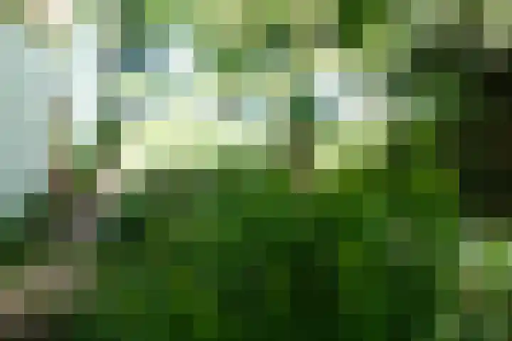 Polderdijk 32 Rumpt thumbnail 60