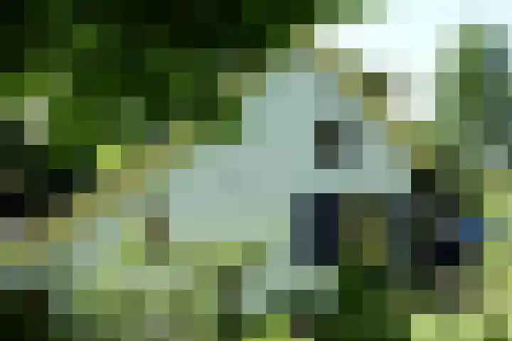 Polderdijk 32 Rumpt thumbnail 61