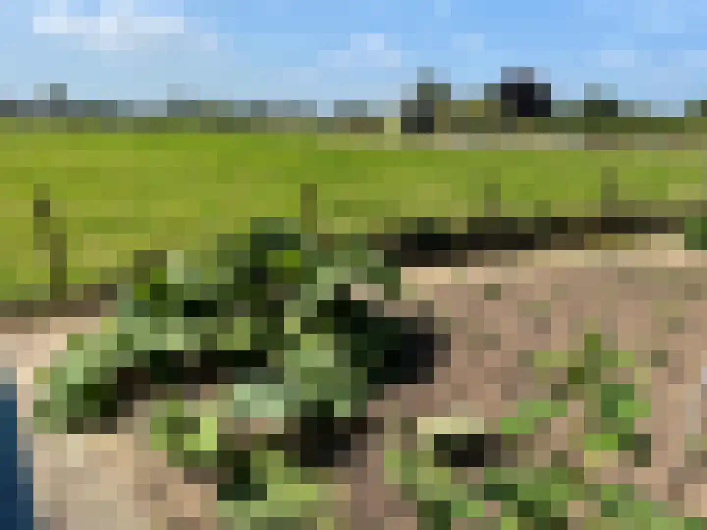 Polderdijk 65 b Herwen thumbnail 24