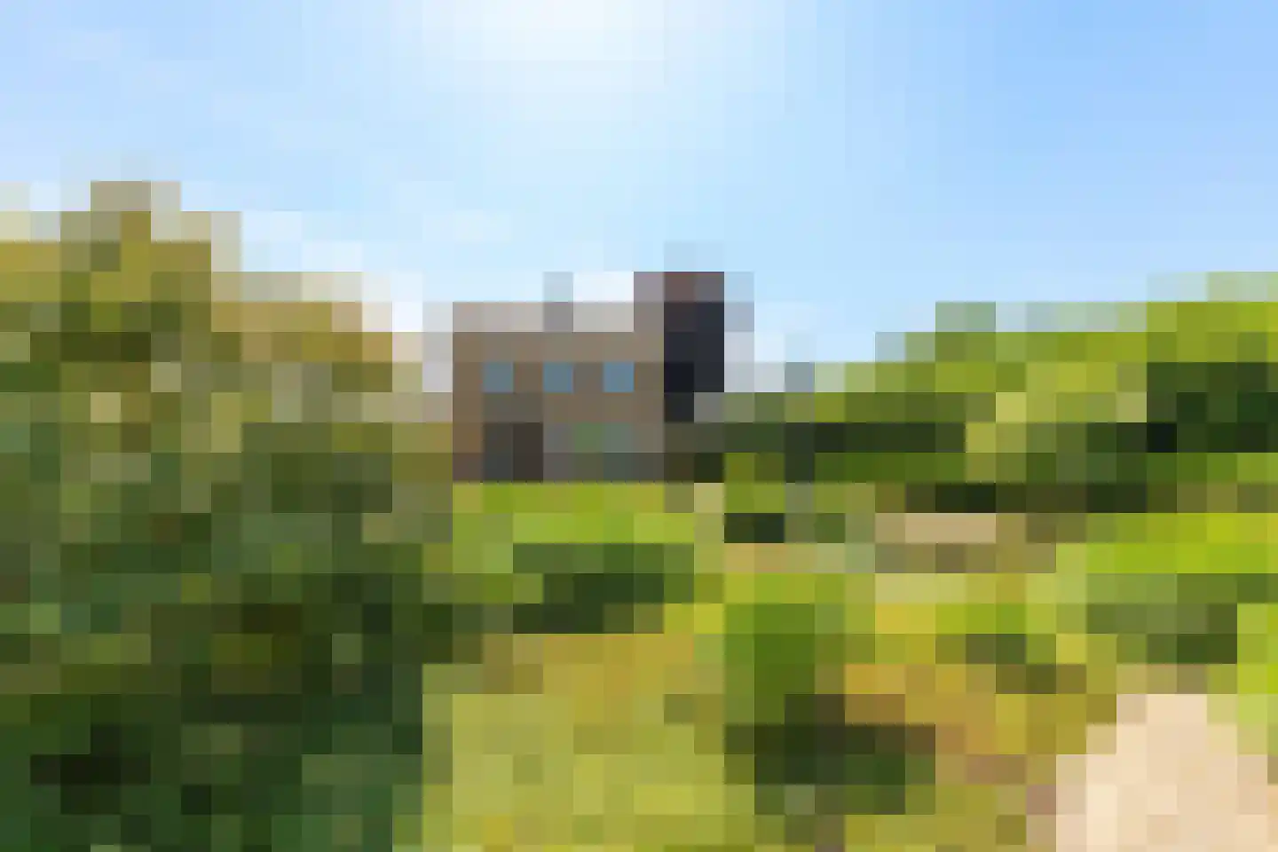 Polderdijk 65 b Herwen thumbnail 5
