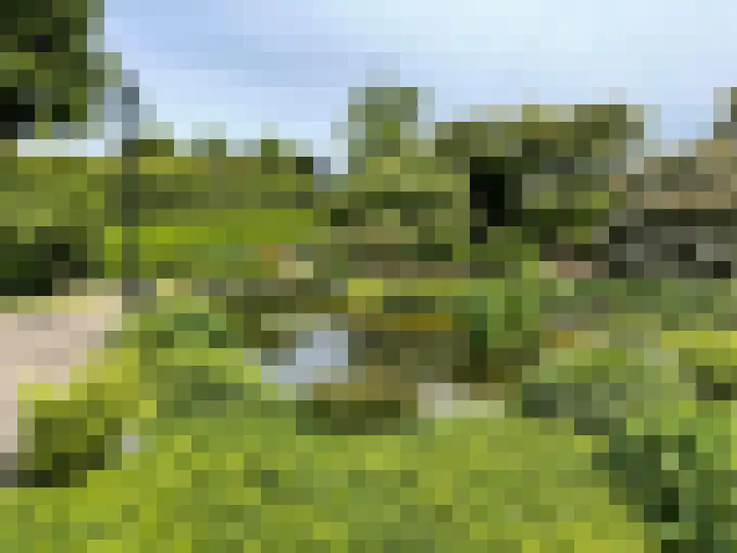 Polderdijk 65 b Herwen thumbnail 6