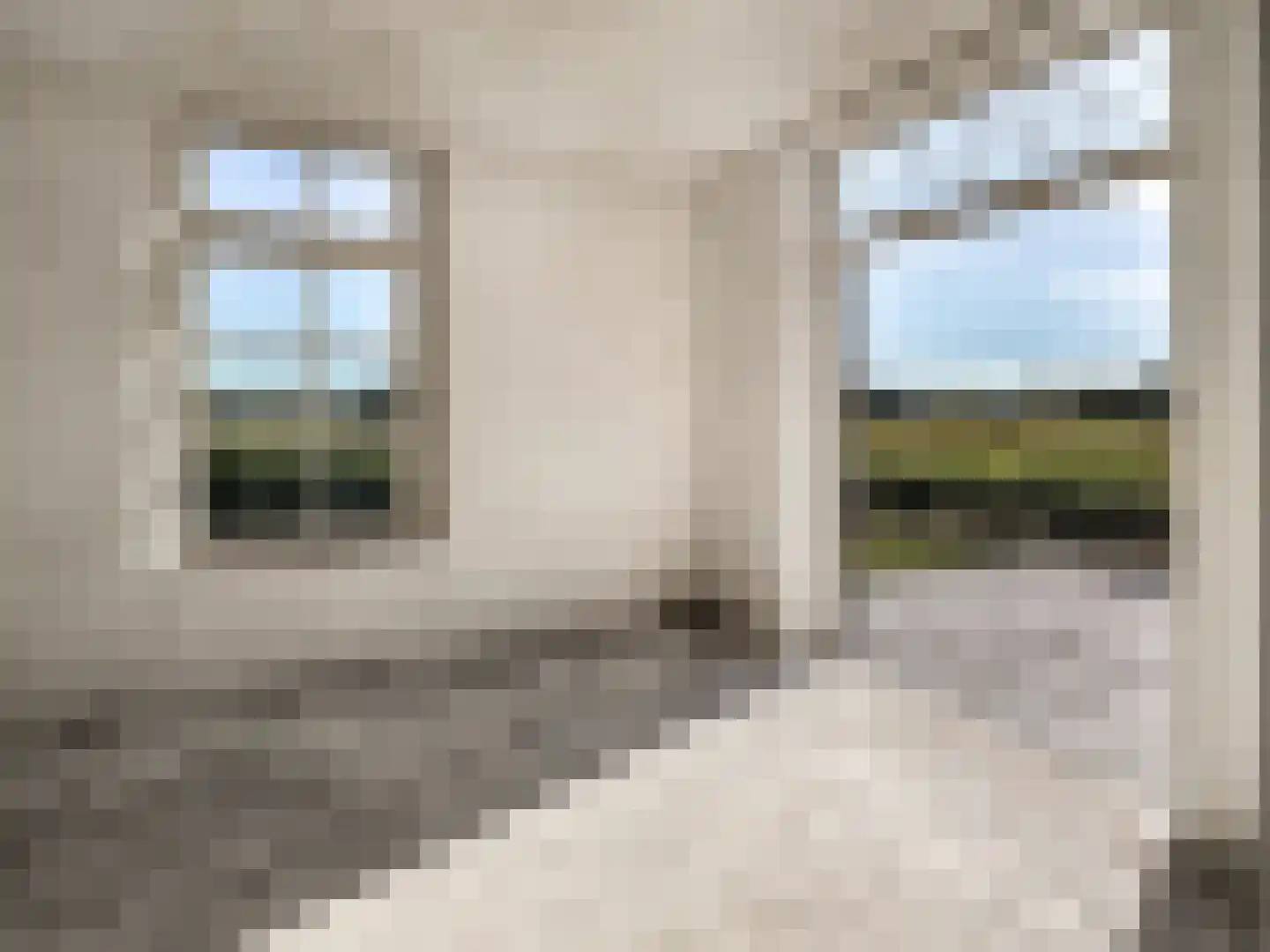 Polderdijk 77 Herwen thumbnail 29