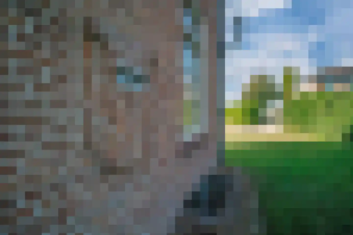 Polderdijk 77 Herwen thumbnail 4