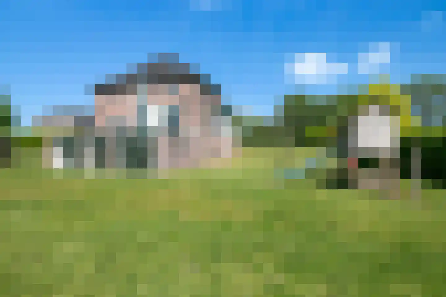 Polderdijk 77 Herwen thumbnail 46