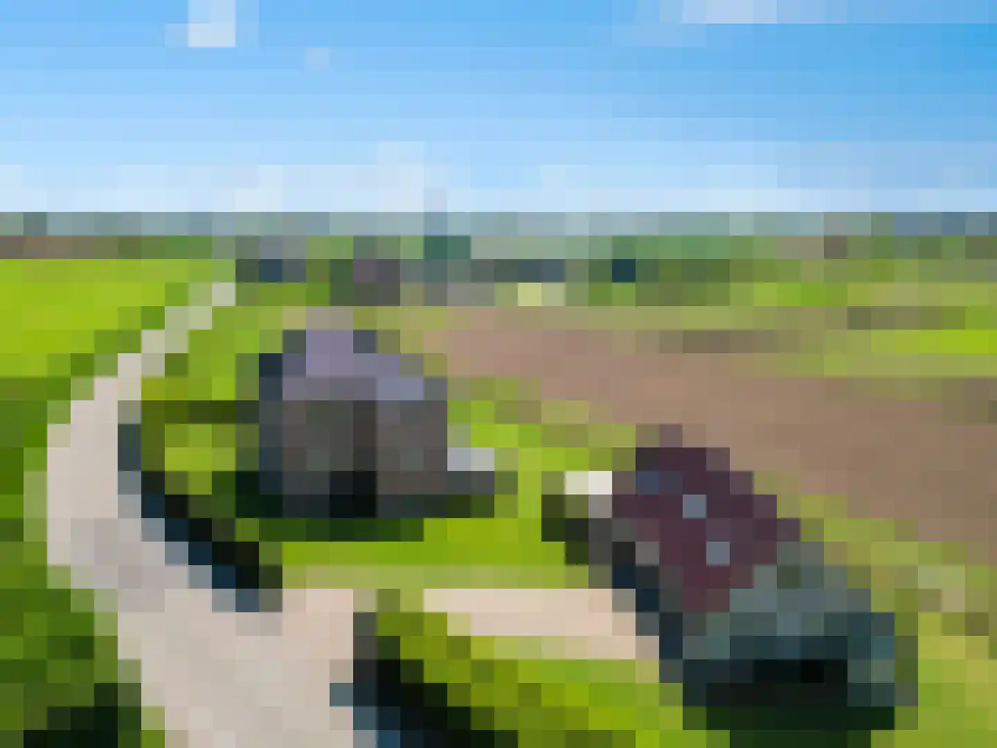 Polderdijk 77 Herwen thumbnail 50