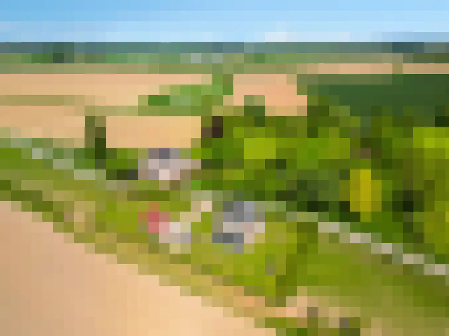 Polderdijk 77 Herwen thumbnail 69