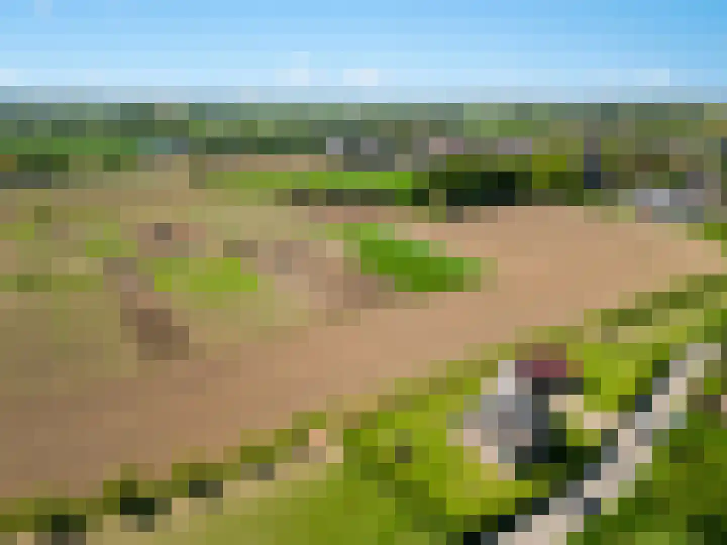 Polderdijk 77 Herwen thumbnail 70