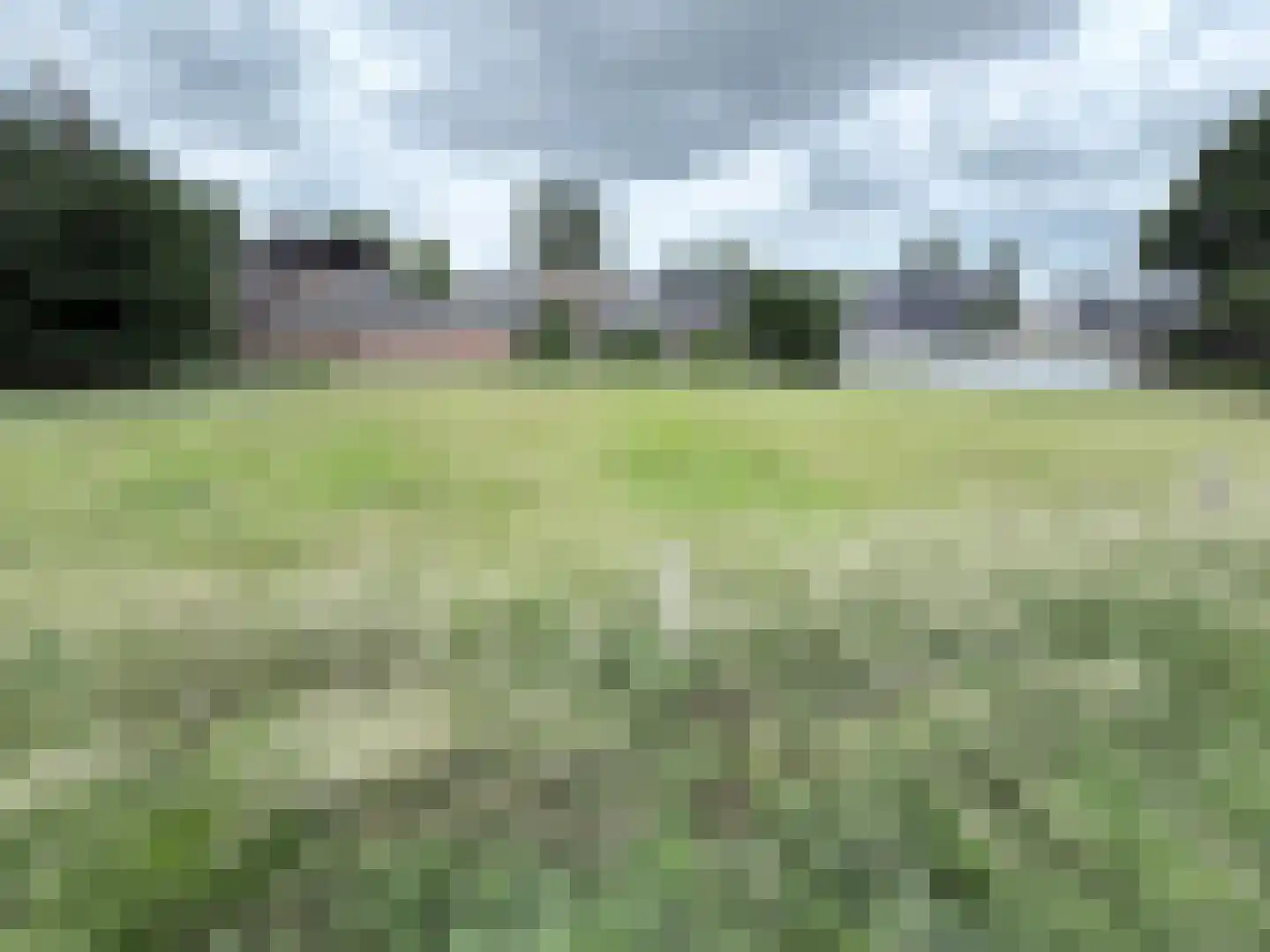 Polderdijk 81 B Herwen thumbnail 4