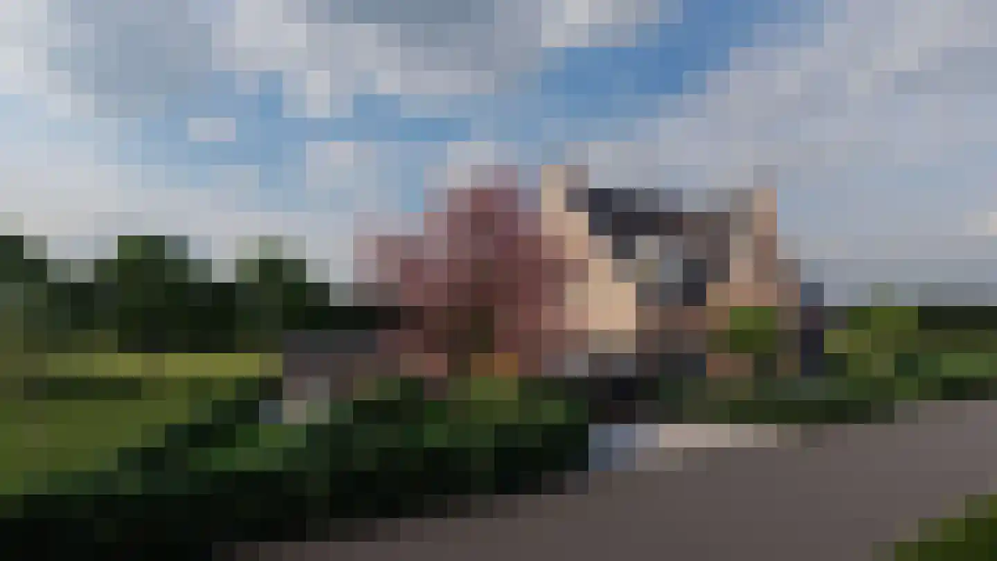 Polderdijk 81 B Herwen thumbnail 8