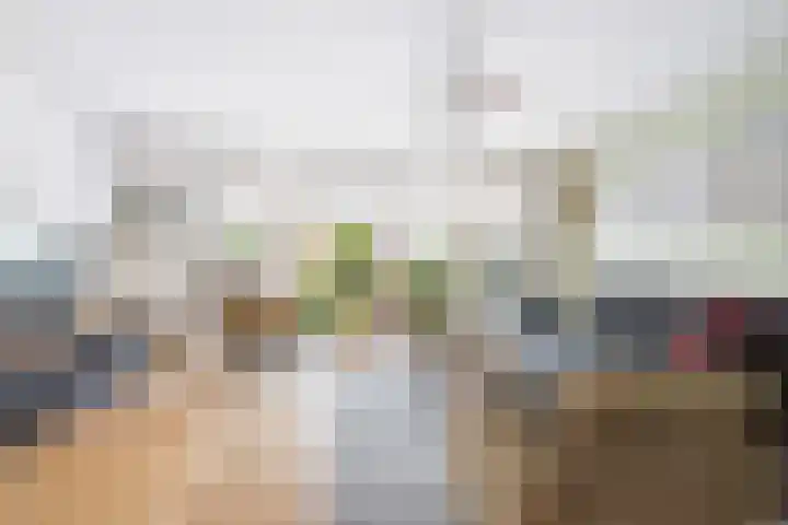 Polderdreef 25 Nieuwerkerk aan den IJssel thumbnail 14