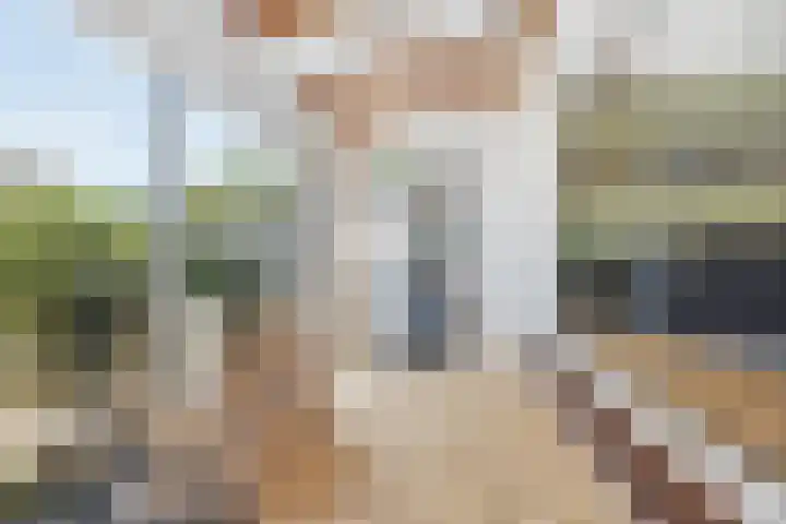 Polderdreef 25 Nieuwerkerk aan den IJssel thumbnail 17