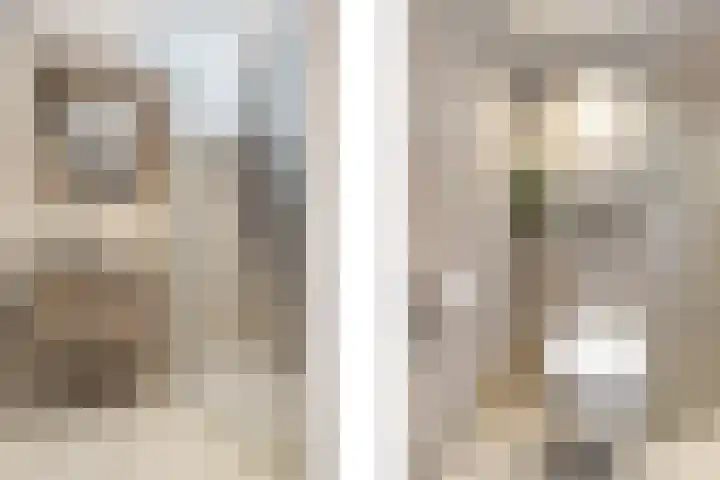 Polderdreef 25 Nieuwerkerk aan den IJssel thumbnail 33