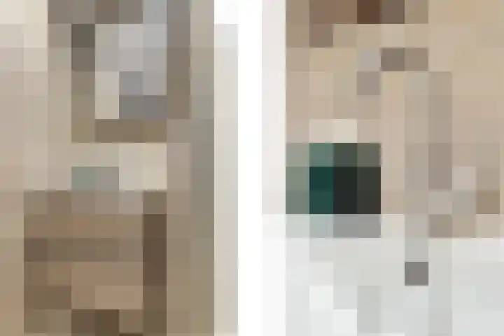 Polderdreef 25 Nieuwerkerk aan den IJssel thumbnail 34