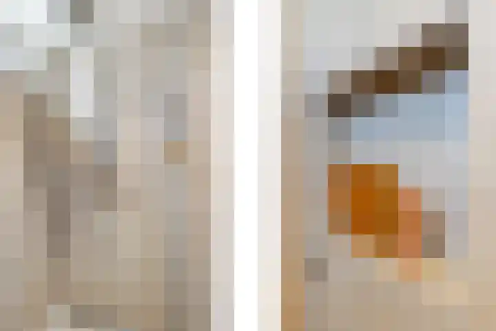 Polderdreef 25 Nieuwerkerk aan den IJssel thumbnail 35