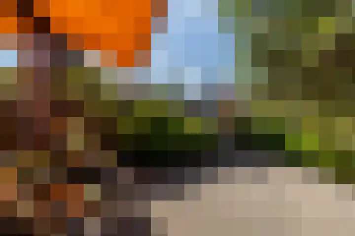 Polderdreef 25 Nieuwerkerk aan den IJssel thumbnail 44