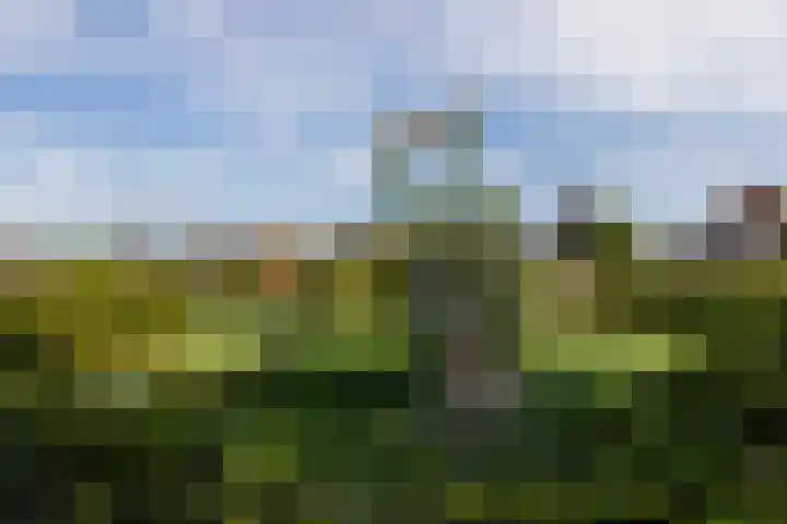 Polderdreef 25 Nieuwerkerk aan den IJssel thumbnail 45