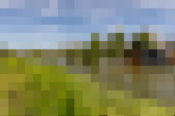 Polderdreef 25 Nieuwerkerk aan den IJssel thumbnail 46