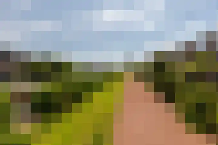 Polderdreef 25 Nieuwerkerk aan den IJssel thumbnail 47