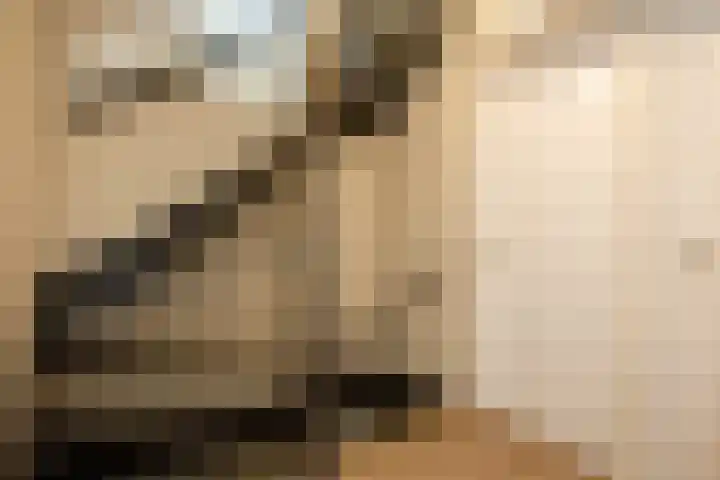 Polderdreef 43 Nieuwerkerk aan den IJssel thumbnail 16