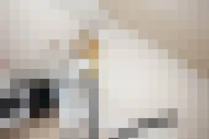 Polderdreef 43 Nieuwerkerk aan den IJssel thumbnail 25