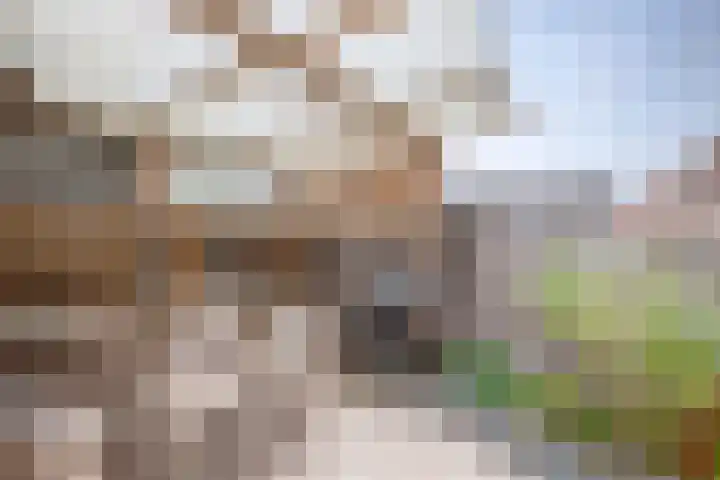 Polderdreef 43 Nieuwerkerk aan den IJssel thumbnail 31