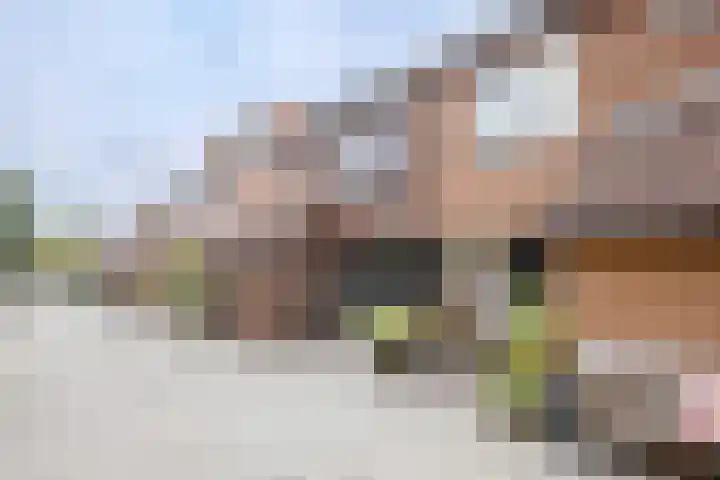 Polderdreef 43 Nieuwerkerk aan den IJssel thumbnail 34