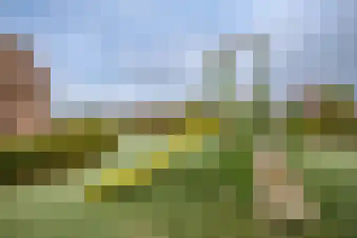 Polderdreef 43 Nieuwerkerk aan den IJssel thumbnail 38