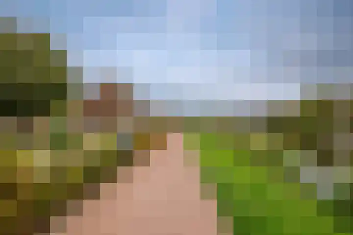 Polderdreef 43 Nieuwerkerk aan den IJssel thumbnail 39