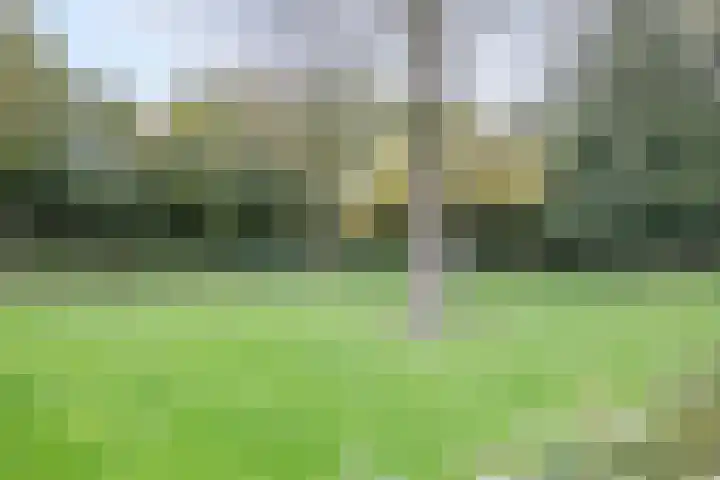 Polderdreef 43 Nieuwerkerk aan den IJssel thumbnail 40