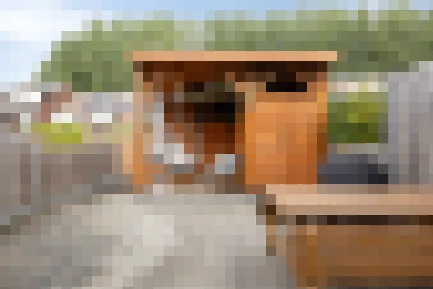 Polderdreef 61 Nieuwerkerk aan den IJssel thumbnail 18