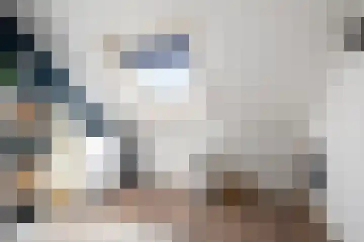 Polderdreef 71 Nieuwerkerk aan den IJssel thumbnail 18