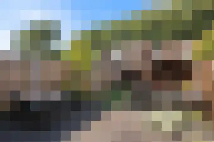 Polderdreef 71 Nieuwerkerk aan den IJssel thumbnail 19