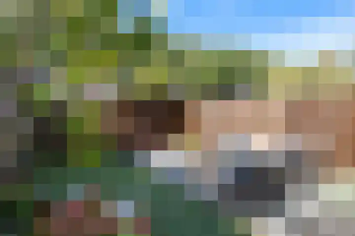 Polderdreef 71 Nieuwerkerk aan den IJssel thumbnail 20