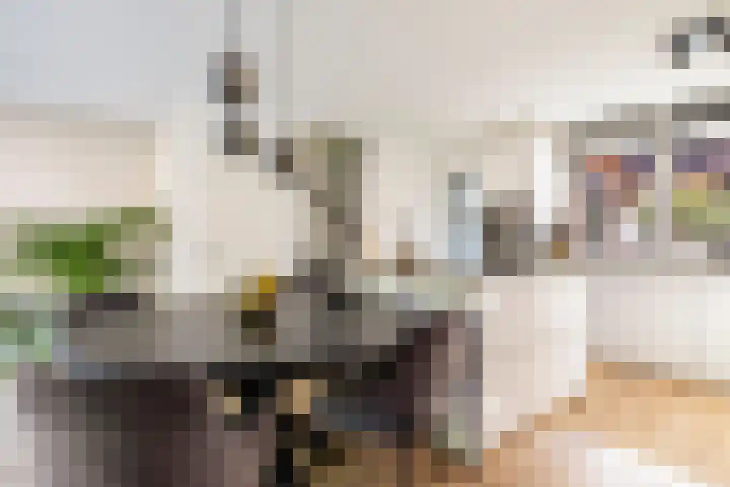 Polderdreef 73 Nieuwerkerk aan den IJssel thumbnail 14