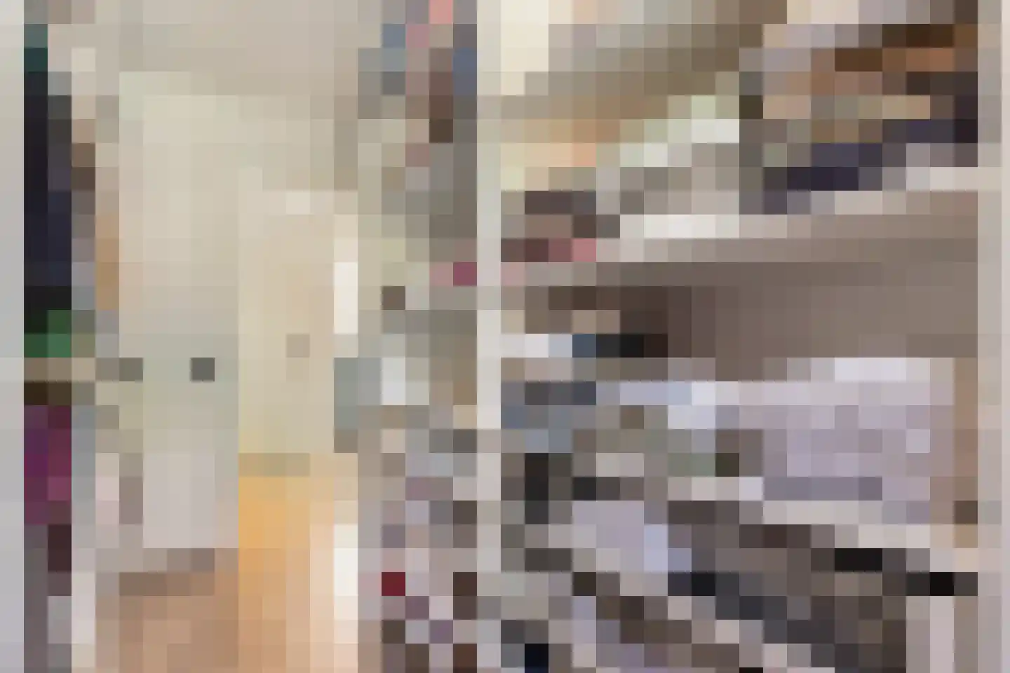 Polderdreef 73 Nieuwerkerk aan den IJssel thumbnail 43