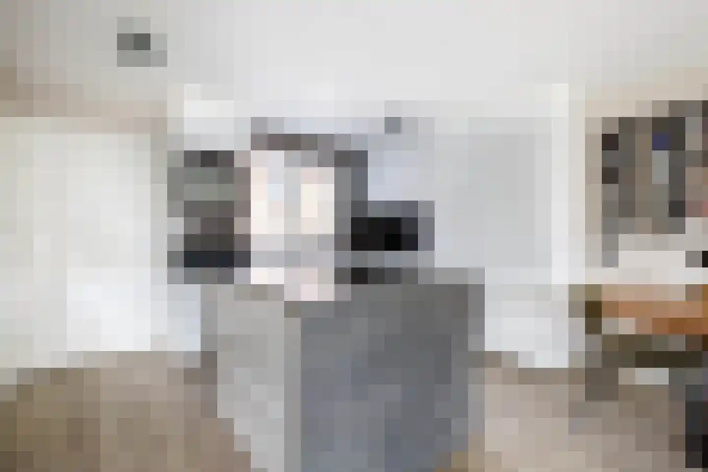 Polderdreef 98 Nieuwerkerk aan den IJssel thumbnail 13