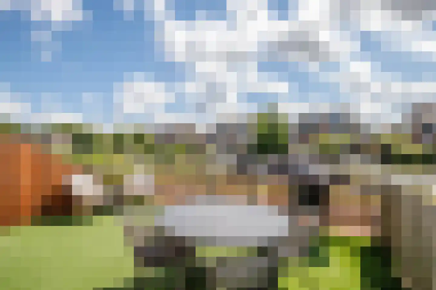 Polderdreef 98 Nieuwerkerk aan den IJssel thumbnail 19