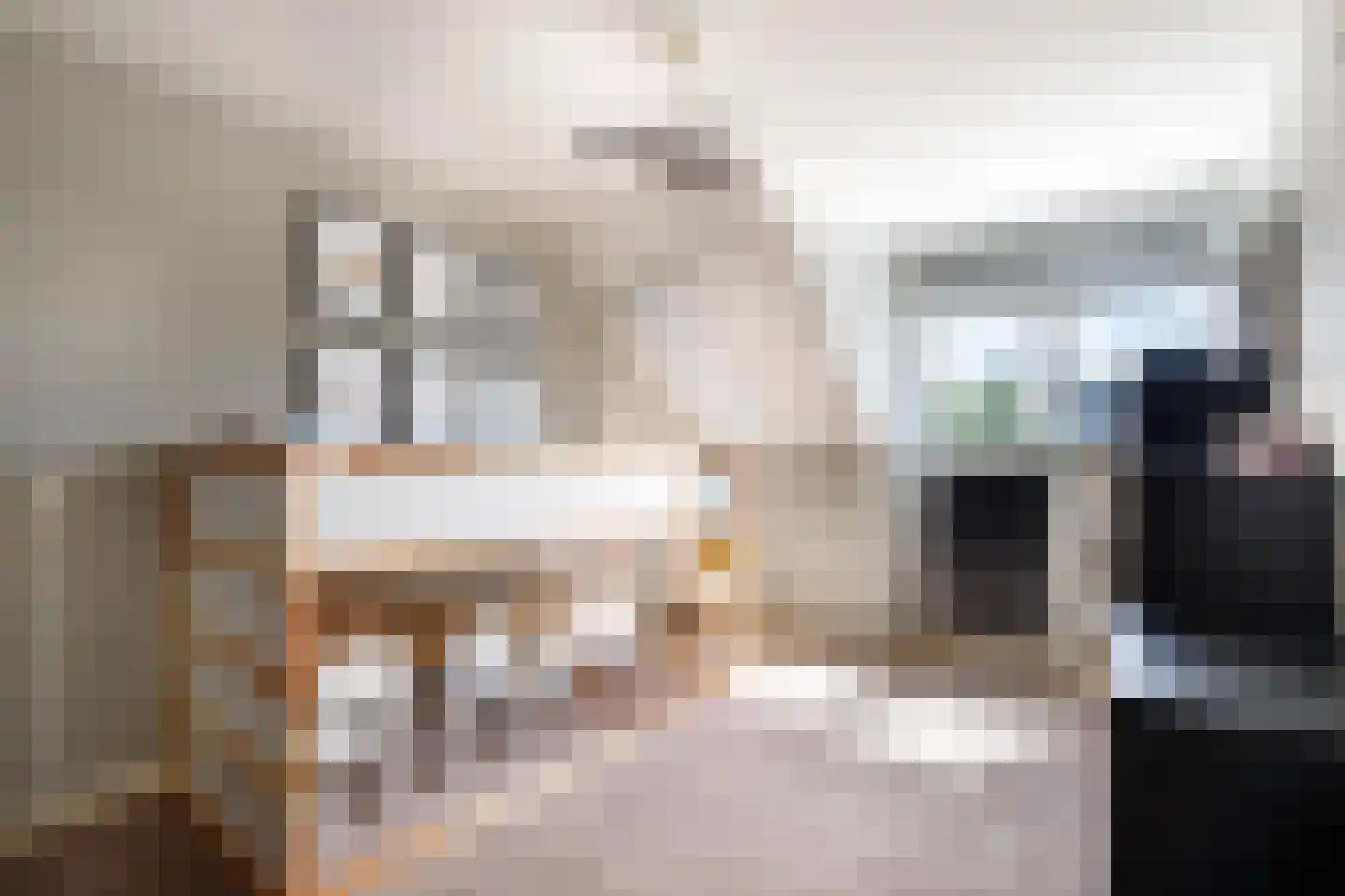 Polderdreef 98 Nieuwerkerk aan den IJssel thumbnail 28