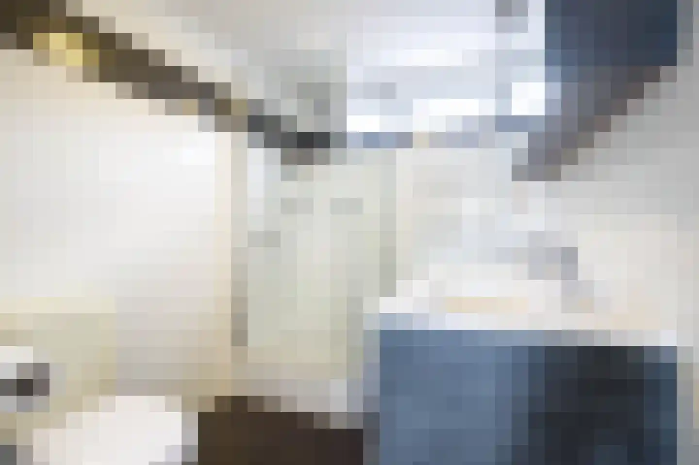 Polderdreef 98 Nieuwerkerk aan den IJssel thumbnail 34