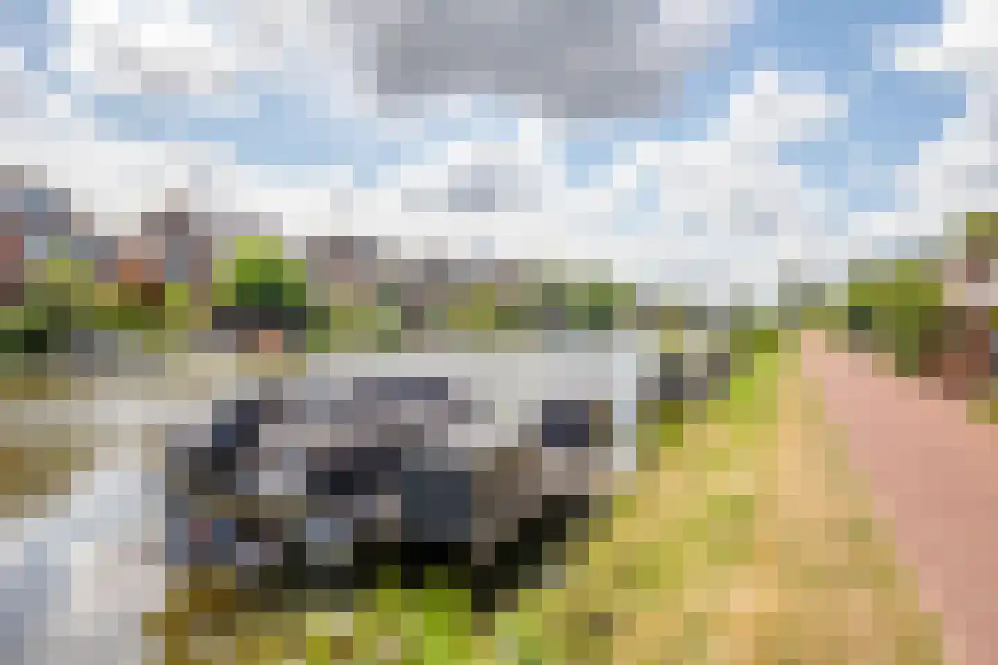 Polderdreef 98 Nieuwerkerk aan den IJssel thumbnail 48