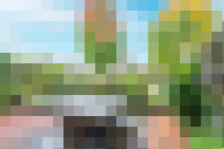 Polderhoeve 16 Nieuwegein thumbnail 20