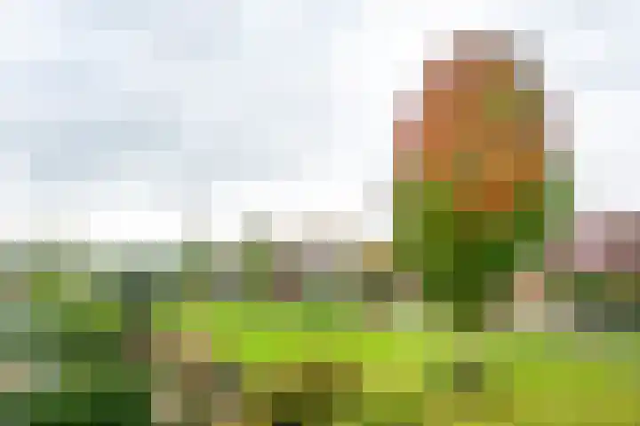 Polderhoeve 16 Nieuwegein thumbnail 37