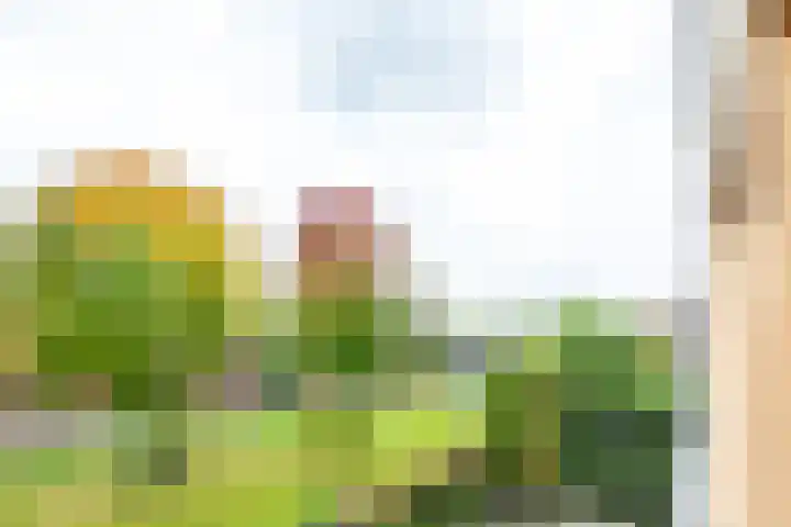 Polderhoeve 16 Nieuwegein thumbnail 38