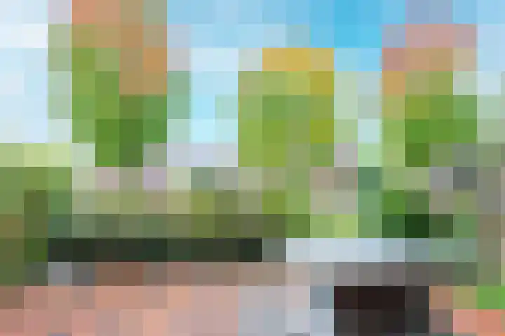 Polderhoeve 16 Nieuwegein thumbnail 4