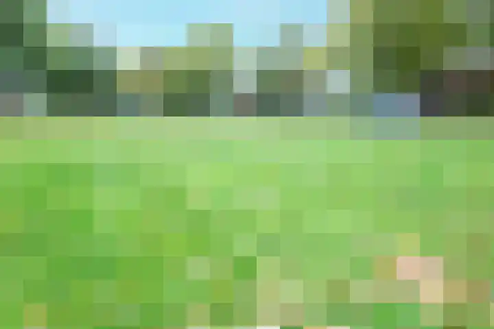 Polderhoeve 16 Nieuwegein thumbnail 61