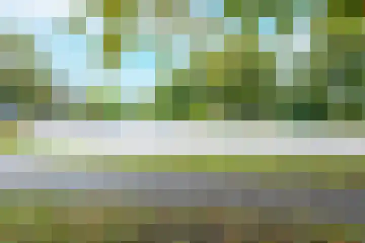 Polderhoeve 16 Nieuwegein thumbnail 63