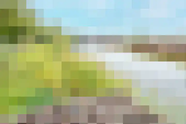 Polderhoeve 16 Nieuwegein thumbnail 66