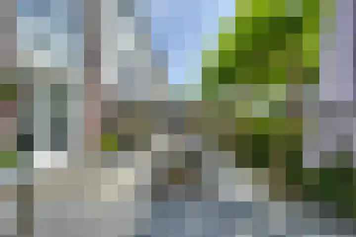 Polderhoeve 36 Nieuwegein thumbnail 19